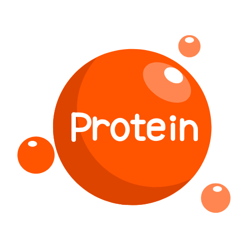 WHEY PROTEIN